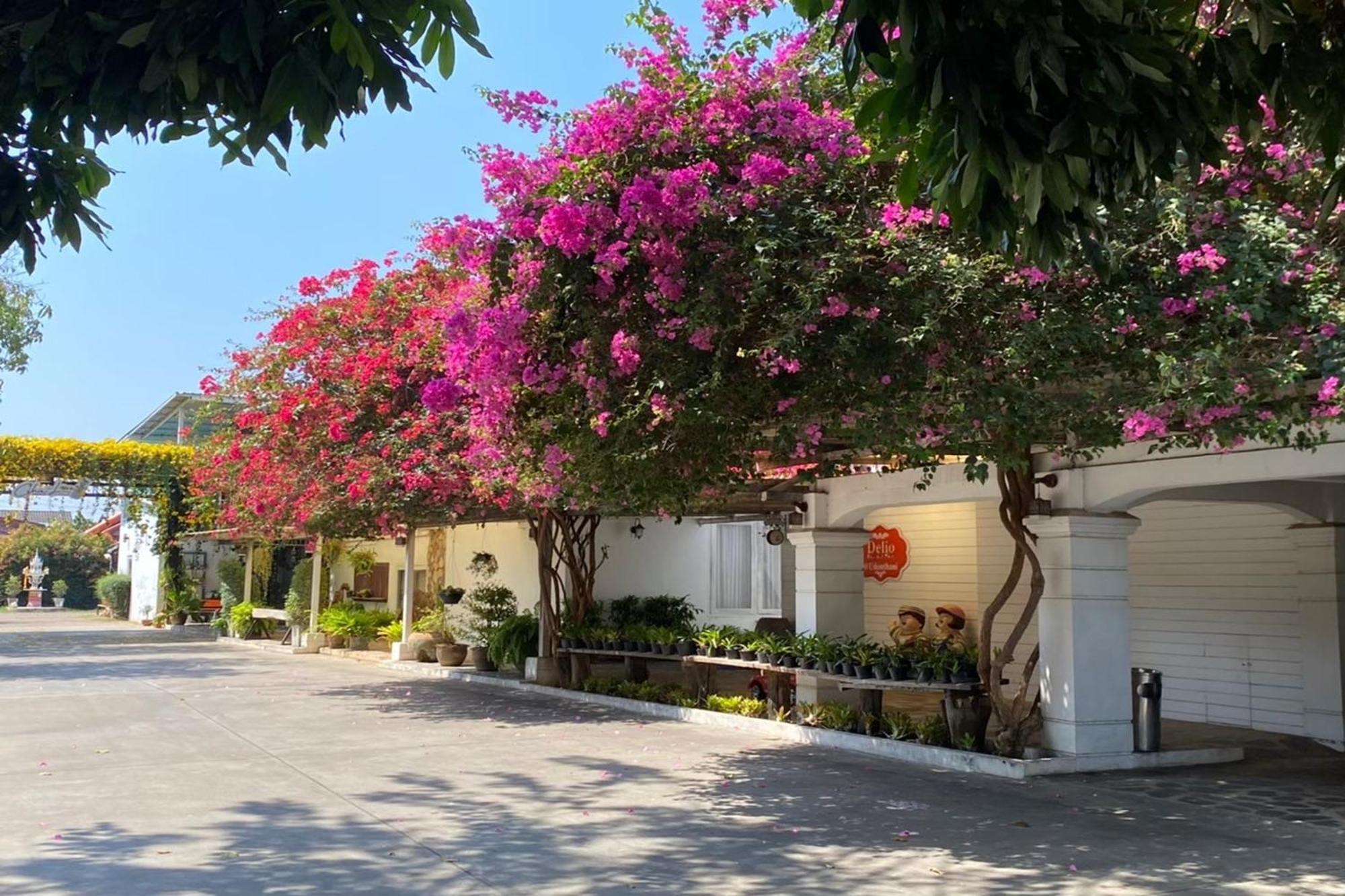 Delio Boutique Hotel Udon Thani Bagian luar foto